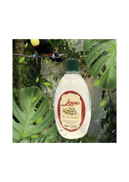 Kolonya 500 ML fiyatları