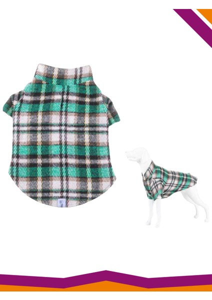 Köpek Çizgili Green Oduncu Gömlek Kıyafet fiyatları