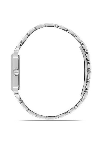 SS223S-02SS Momentus Kol Saati fiyatları