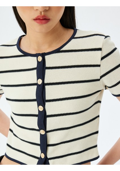 Çizgili Düğme Detaylı Kısa Kollu Crop Bluz indirimleri
