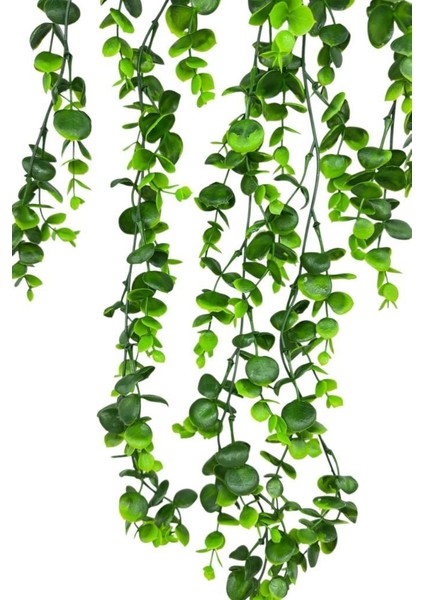 Yapay Çiçek 5dal Sarkan Okaliptus Şimşir Yapay Sarmaşık 70 cm