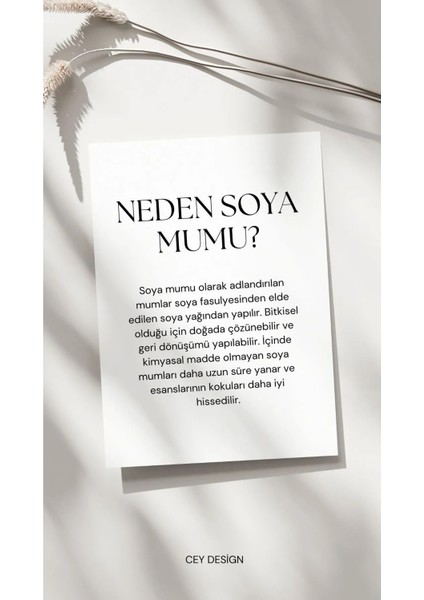 Dekoratif Modern Çizgili Vazo Şakayık Mum Set ( Soya Wa x )