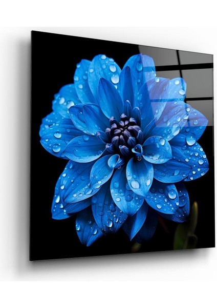 Mavi Çiçek Cam Tablo | , Dekoratif, Ofis, Mutfak