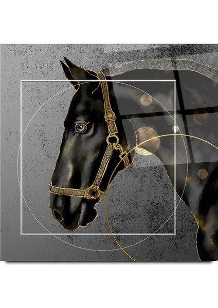 At Cam Tablo | , Dekoratif, Ofis, Mutfak modelleri