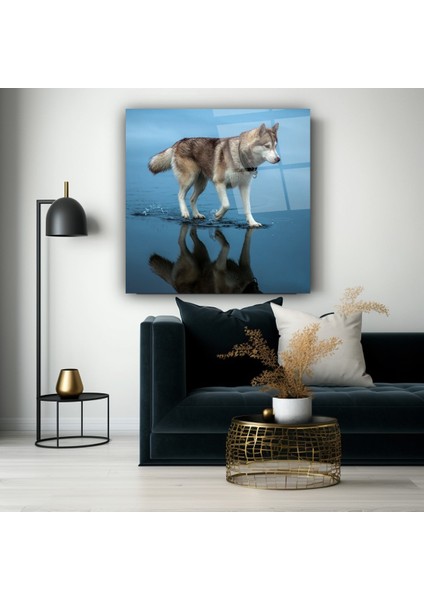 Kurt Cam Tablo | , Dekoratif, Ofis, Mutfak indirimleri