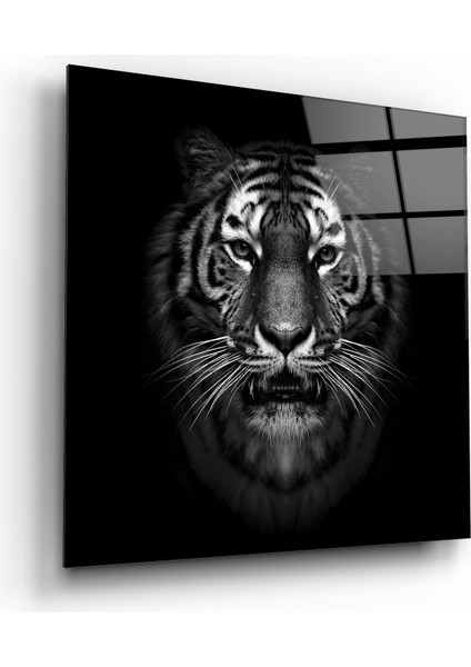 Kaplan Cam Tablo | , Dekoratif, Ofis, Mutfak