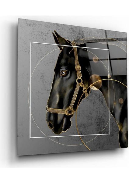 At Cam Tablo | , Dekoratif, Ofis, Mutfak