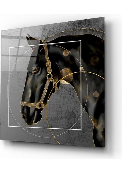 At Cam Tablo | , Dekoratif, Ofis, Mutfak fiyatları