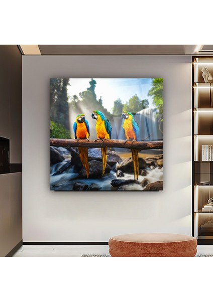 Renkli Papağanlar Cam Tablo | , Dekoratif, Ofis, Mutfak fırsatları