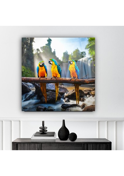 Renkli Papağanlar Cam Tablo | , Dekoratif, Ofis, Mutfak indirimleri