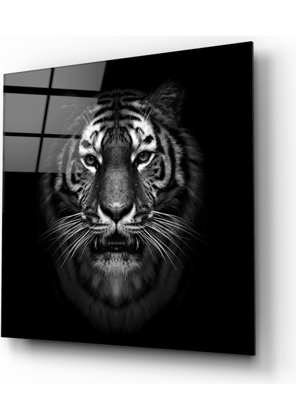 Kaplan Cam Tablo | , Dekoratif, Ofis, Mutfak fiyatları