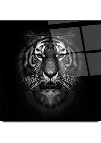 Kaplan Cam Tablo | , Dekoratif, Ofis, Mutfak modelleri