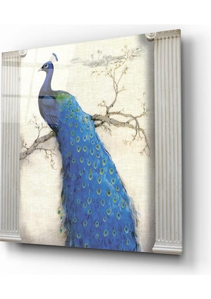 Tavus Kuşu Cam Tablo | , Dekoratif, Ofis, Mutfak fiyatları