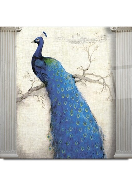 Tavus Kuşu Cam Tablo | , Dekoratif, Ofis, Mutfak modelleri