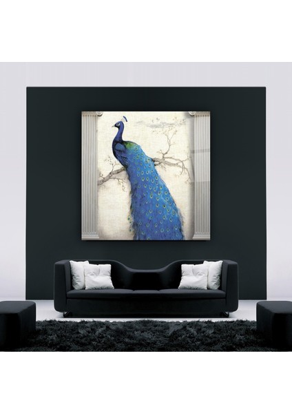 Tavus Kuşu Cam Tablo | , Dekoratif, Ofis, Mutfak fırsatları