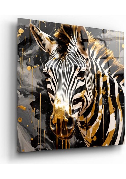 Zebra Cam Tablo | , Dekoratif, Ofis, Mutfak
