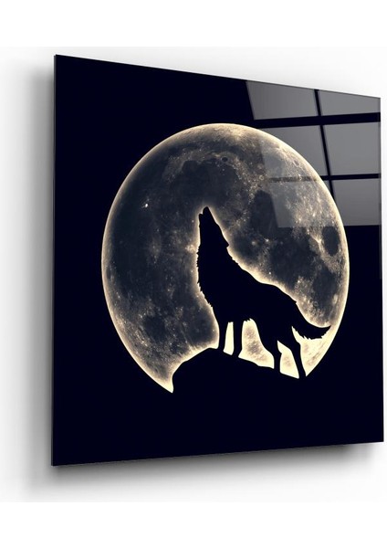 Kurt Cam Tablo | , Dekoratif, Ofis, Mutfak