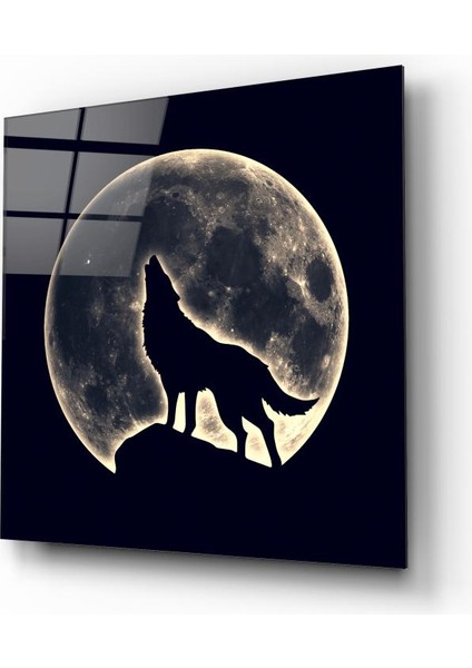 Kurt Cam Tablo | , Dekoratif, Ofis, Mutfak fiyatları