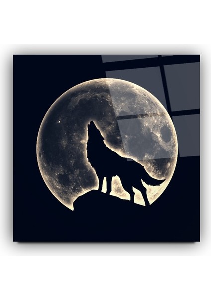 Kurt Cam Tablo | , Dekoratif, Ofis, Mutfak modelleri