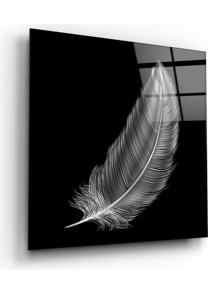 Tüy Cam Tablo | , Dekoratif, Ofis, Mutfak