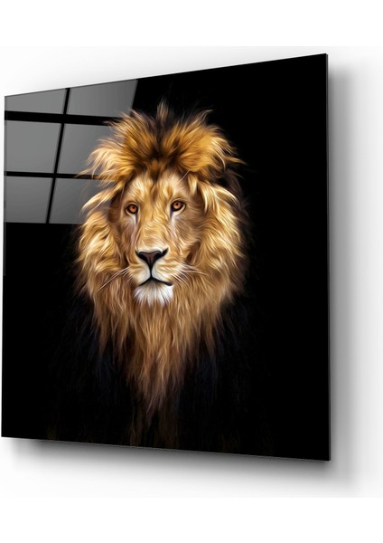Aslan Cam Tablo | , Dekoratif, Ofis, Mutfak fiyatları
