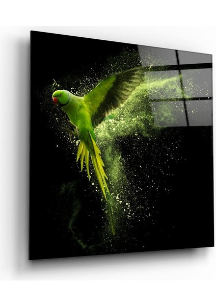 Papağan Cam Tablo | , Dekoratif, Ofis, Mutfak