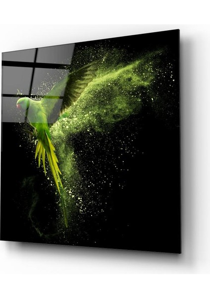 Papağan Cam Tablo | , Dekoratif, Ofis, Mutfak fiyatları