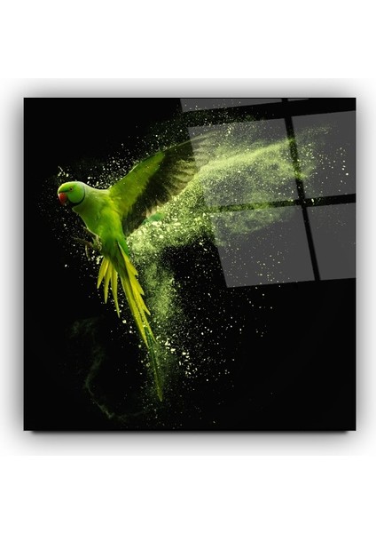 Papağan Cam Tablo | , Dekoratif, Ofis, Mutfak modelleri