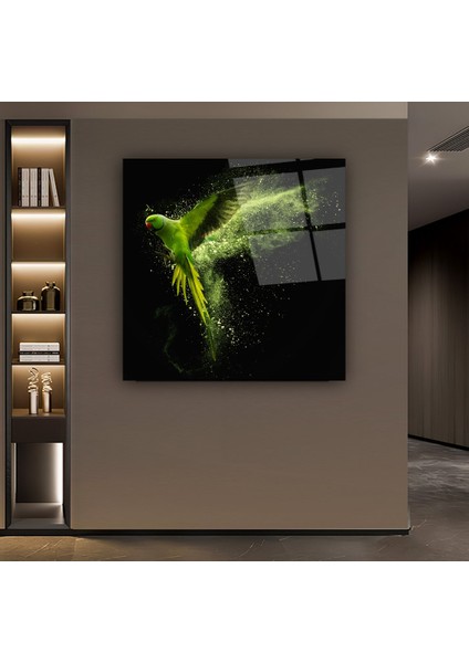 Papağan Cam Tablo | , Dekoratif, Ofis, Mutfak indirimleri