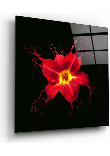 Çiçek Cam Tablo | , Dekoratif, Ofis, Mutfak