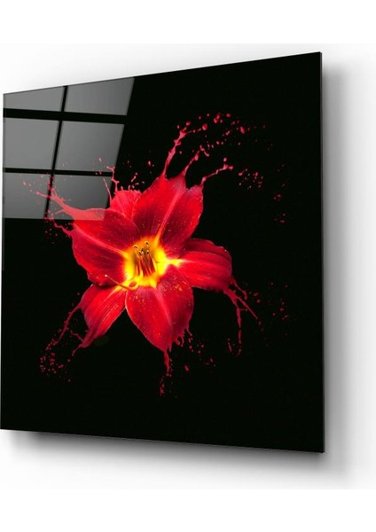 Çiçek Cam Tablo | , Dekoratif, Ofis, Mutfak fiyatları