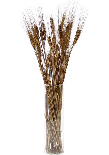 Kurutulmuş Başak Demeti Bronz