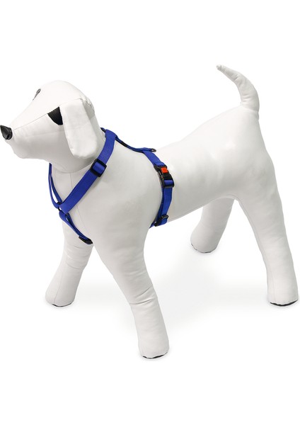 Köpek Göğüs Tasması M Mavi 45-70x2 cm