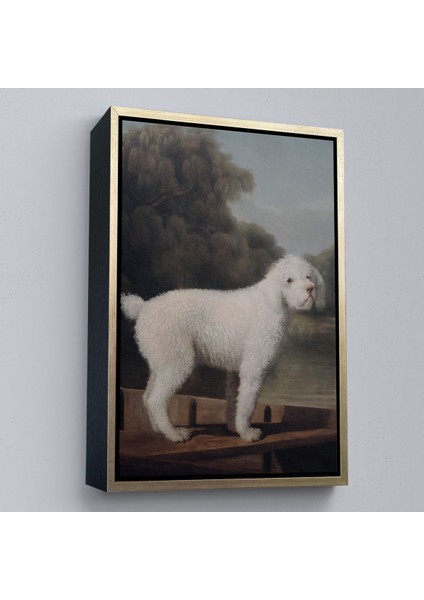 canvas Serie George Stubbs Beyaz Kaniş TABLO-8034 modelleri