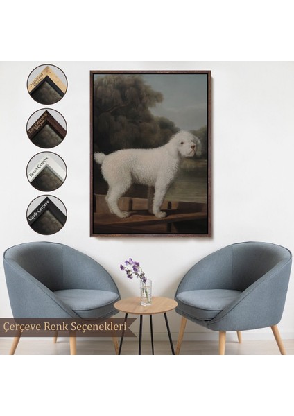 canvas Serie George Stubbs Beyaz Kaniş TABLO-8034 fırsatları