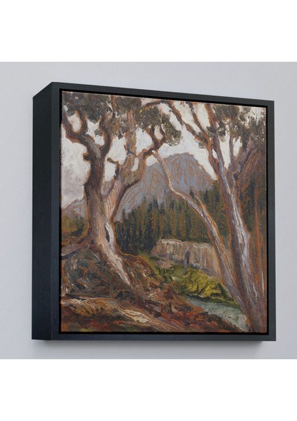 canvas Serie Loch Vale'den Long Zirvesi, Estes Park, Colorado TABLOSU-8349