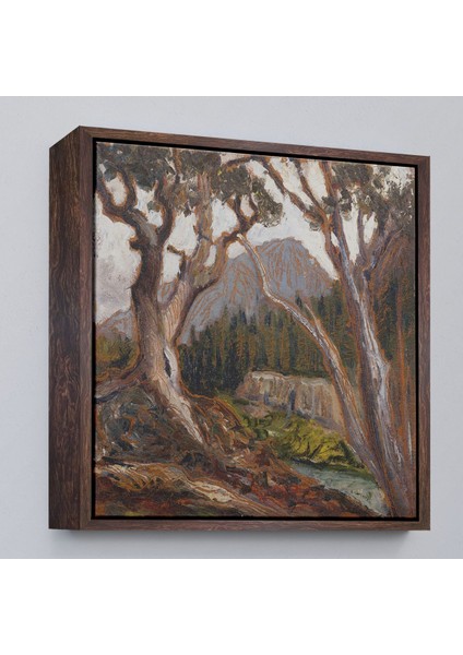 canvas Serie Loch Vale'den Long Zirvesi, Estes Park, Colorado TABLOSU-8349 fiyatları