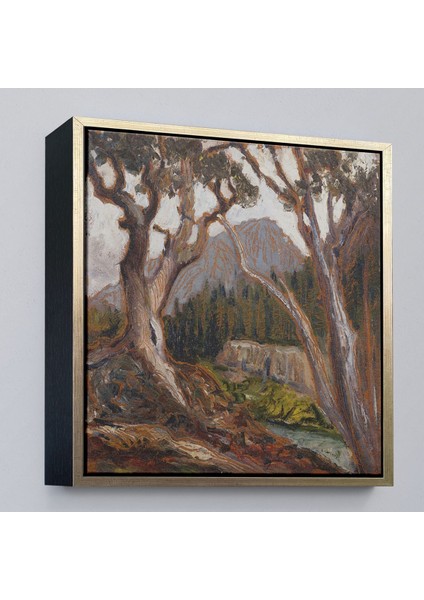 canvas Serie Loch Vale'den Long Zirvesi, Estes Park, Colorado TABLOSU-8349 modelleri