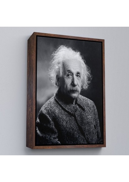canvas Serie Albert Einstein TABLO-7845 fiyatları