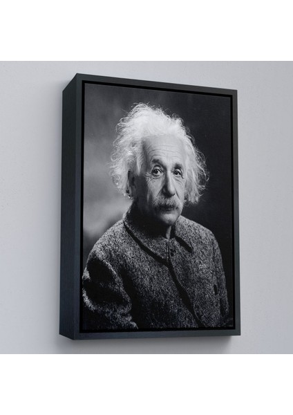 canvas Serie Albert Einstein TABLO-7845 modelleri