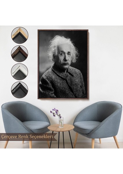 canvas Serie Albert Einstein TABLO-7845 fırsatları