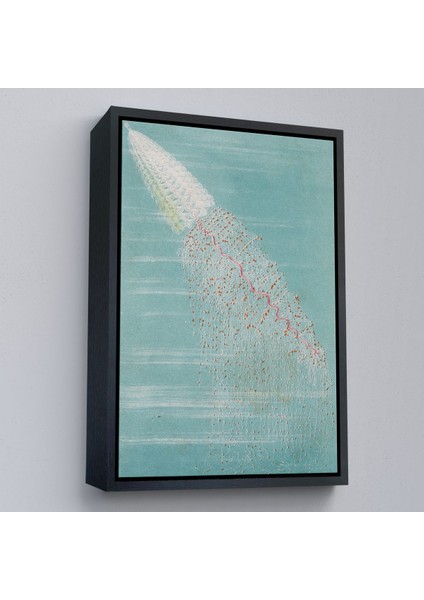 canvas Serie Alfred Fredol - Apolémie Konturnée TABLO-8063