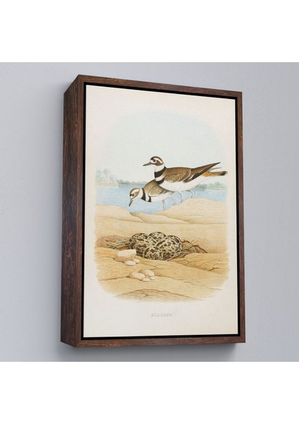 canvas Serie Edwin L. Sheppard - Öldürücü Tablo - KILLDEER-7338 fiyatları