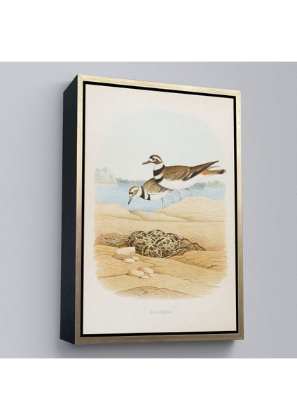 canvas Serie Edwin L. Sheppard - Öldürücü Tablo - KILLDEER-7338 modelleri