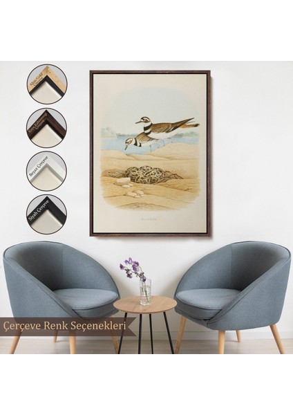 canvas Serie Edwin L. Sheppard - Öldürücü Tablo - KILLDEER-7338 fırsatları