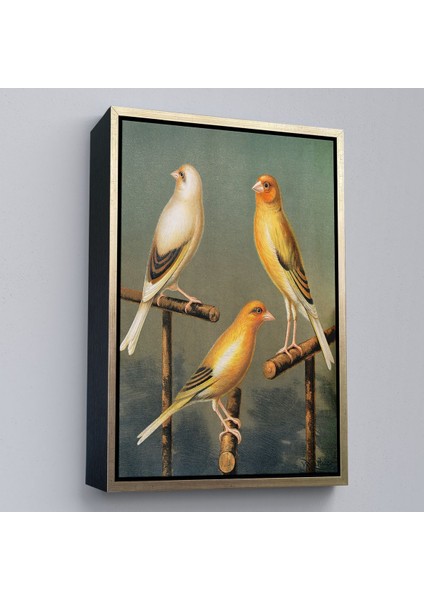 canvas Serie Blakston - Sarı Saka Kuşu ve Kahomeya TABLOSU-7311