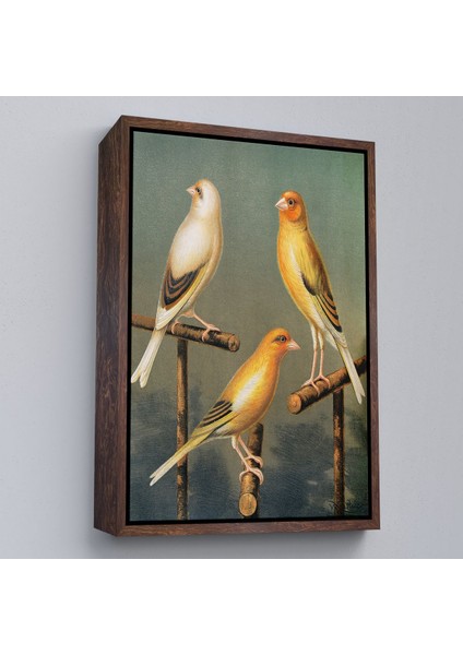 canvas Serie Blakston - Sarı Saka Kuşu ve Kahomeya TABLOSU-7311 fiyatları