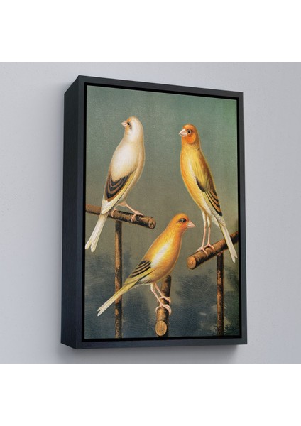 canvas Serie Blakston - Sarı Saka Kuşu ve Kahomeya TABLOSU-7311 modelleri