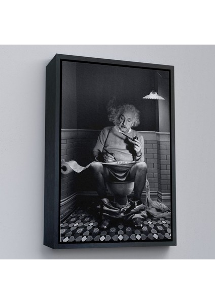 canvas Serie Albert Einstein - Tuvalette Pipo Içen Albert TABLO-7746