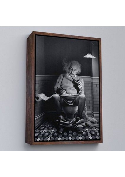 canvas Serie Albert Einstein - Tuvalette Pipo Içen Albert TABLO-7746 fiyatları